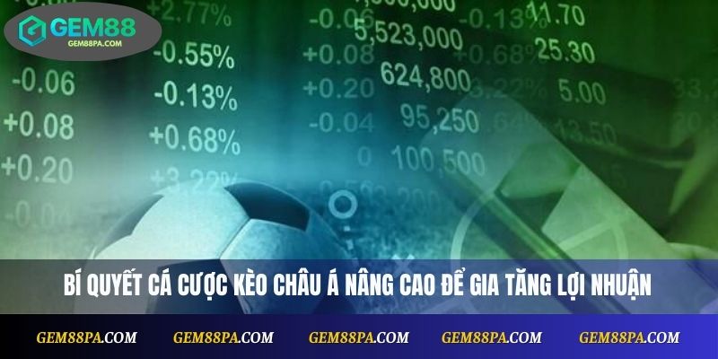 Cách Soi Kèo Châu Á Hiệu Quả – Bí Quyết Thắng Cược Chuyên Gia 4 Bí quyết cá cược kèo Châu Á nâng cao để gia tăng lợi nhuận