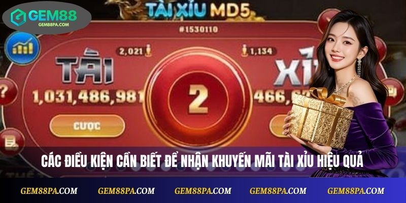 Tài Xỉu Khuyến Mãi Hấp Dẫn – Nhận Quà Tặng Siêu Nhanh 2 Các điều kiện cần biết để nhận khuyến mãi Tài Xỉu hiệu quả