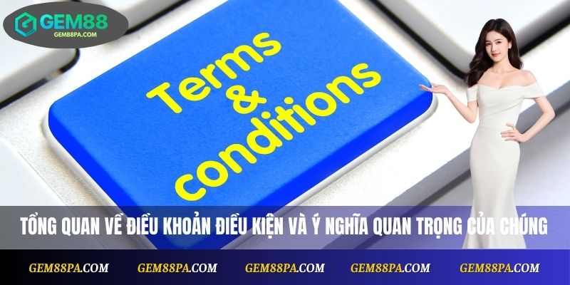 Điều Khoản Điều Kiện 1 Tổng quan về điều khoản, điều kiện và ý nghĩa quan trọng của chúng